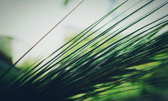 Kamarai rendezvénysorozat segíti a vállalkozások kiberbiztonsági felkészülését